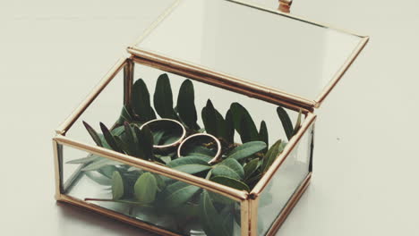 wedding rings in glass box closeup