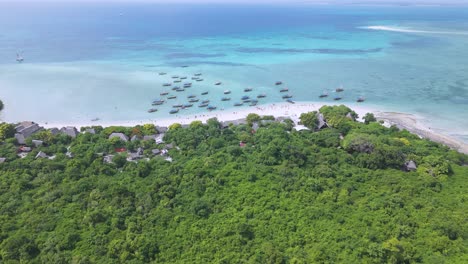 breathtaking tropical island of kwale, zanzibar on tanzania coast, aerial