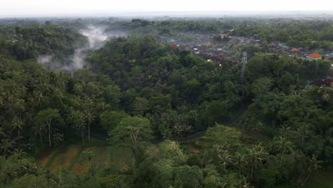 Matorral-Denso-En-Una-Mañana-Brumosa-Cerca-De-Asentamientos-En-La-Base-Del-Monte-Batur-En-Bali,-Indonesia