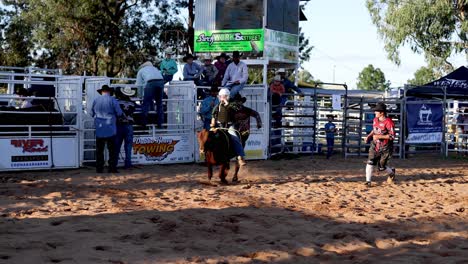 rider thrown off bull at a rodeo event