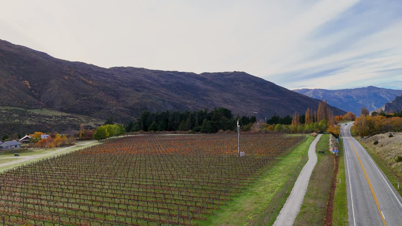 Drone footage captures a vineyard and highway in Queenstown, New Zealand, during autumn. The landscape features mountains and vibrant foliage