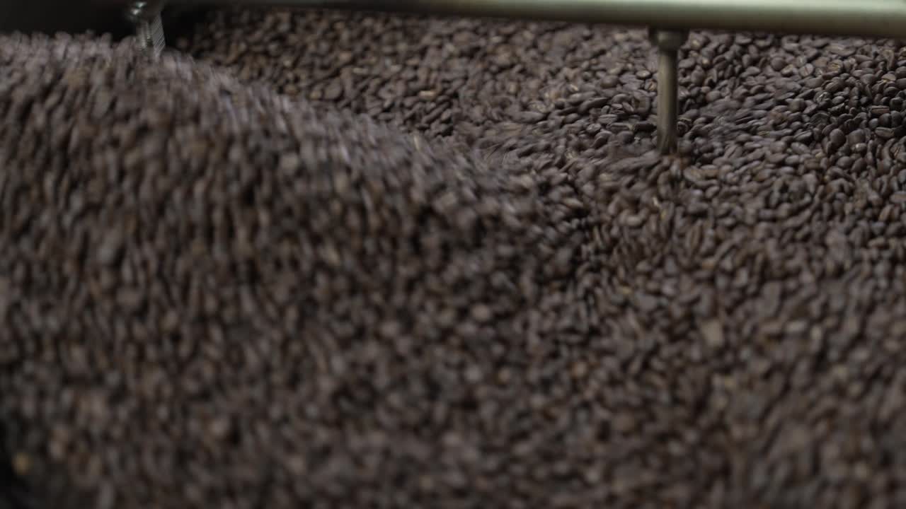 Coffee beans rotate under metal cooling arms inside the industrial roaster