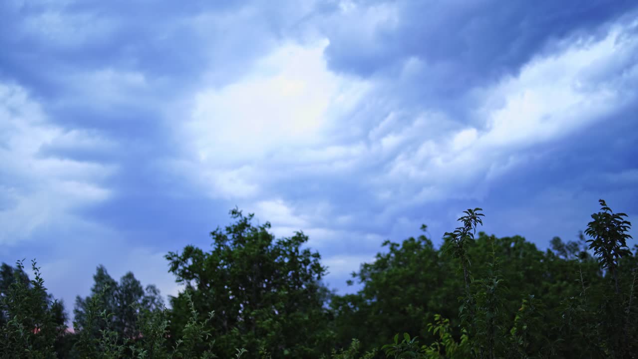 Strong wind shakes big green tree tops at summer day. The wind moving branches of trees on the background of cloudy sky before the rain.