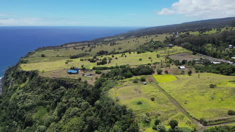 sensacional vista aérea de la costa de la bahía de waipio, avión no tripulado volando sobre el prado de hierba