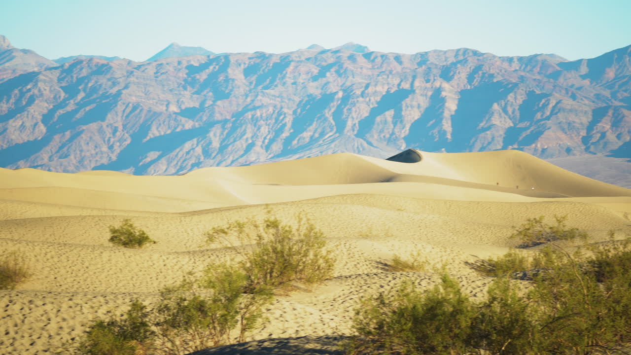 뜨거운 화창한 날 메스키트 평평한 모래 언덕