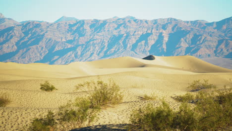 mesquite flat sand dunes on hot sunny day