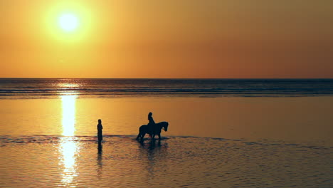 silhouette of a tour guide, horse and woman being coaxed into the ocean at sunset