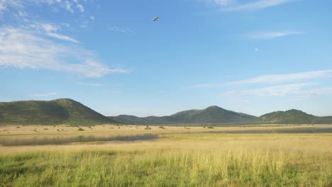una foto de un avión que pasa por el parque nacional pilanesberg en sudáfrica