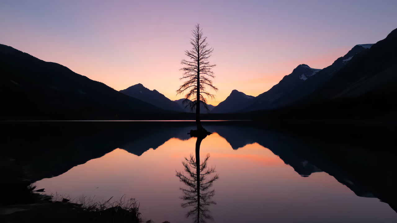 Serene lake at sunset with tree silhouette