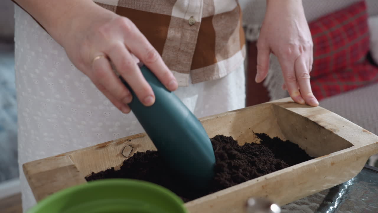 Lower view of plant mom preparing soil for planting by mixing dark loam with blue plastic scoop in wooden planter box on glass table with cozy indoor background under soft natural light