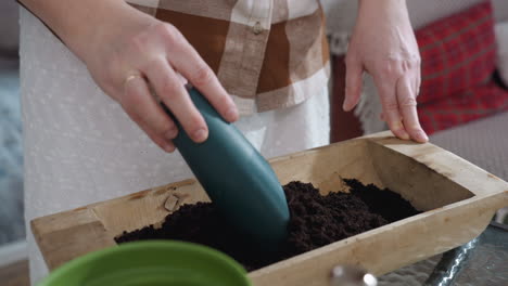 lower view of plant mom preparing soil for planting by mixing dark loam with blue plastic scoop in wooden planter box on glass table with cozy indoor background under soft natural light