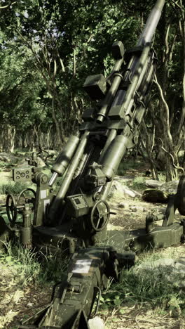 military artillery resting in serene forest surroundings during daylight