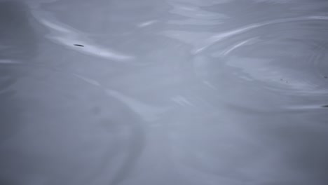 a slow motion of rain drop in the water the pond rainy day closeup