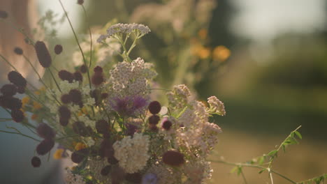 close-up of beautiful wildflowers in natural sunlight, with wind blowing gently through the bouquet, creating soft movement, partially blurred person in background