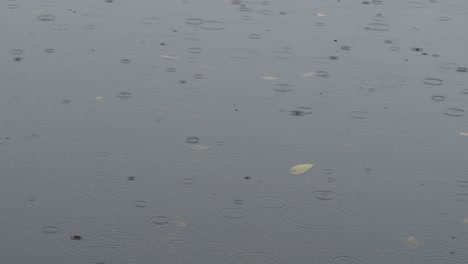 raindrops fall in puddle asphalt road in autumn