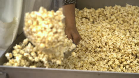 a person is scooping popcorn into a bag at the 50th anniversary dogwood fest in arkansas, usa