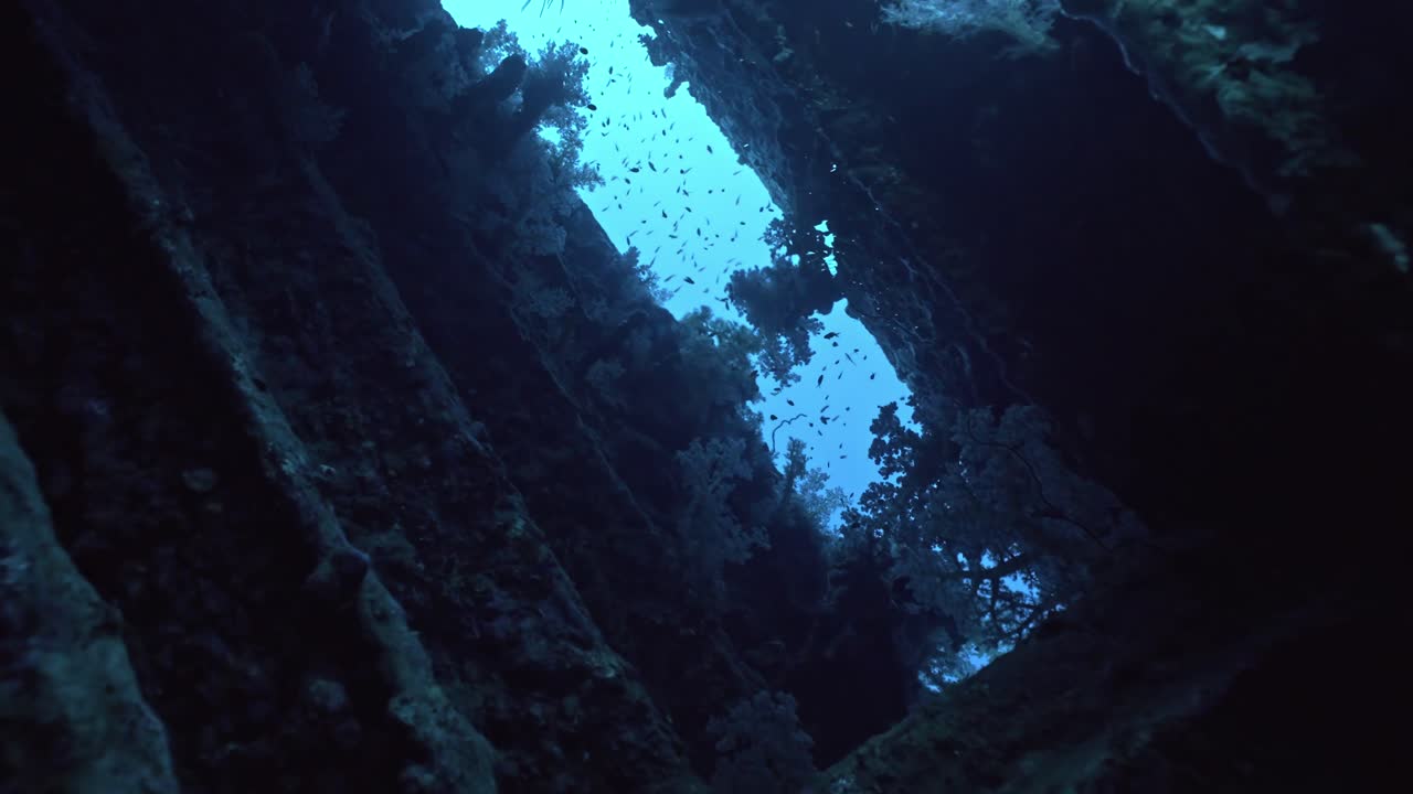 Nesta cena subaquática, corais e peixes podem ser vistos no interior do SS Carnatic, o elegante naufrágio do navio a vapor britânico de 1869, deitado sobre seu lado de bombordo a 22–27 metros de profundidade.
