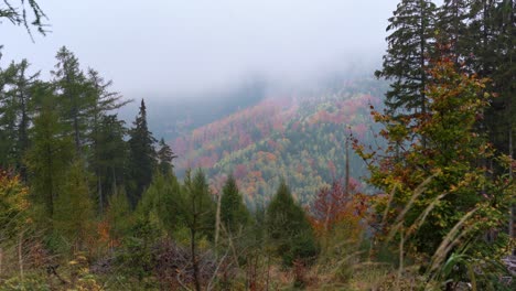 Mirando-Hacia-Un-Valle-Colorido-En-Montañas-De-Mineral-En-Otoño-Brumoso,-Leve-Inclinación-Hacia-Arriba