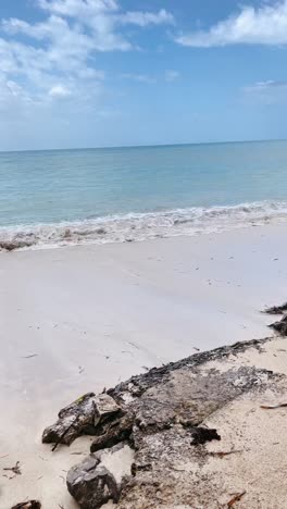 hermosa escena de la playa