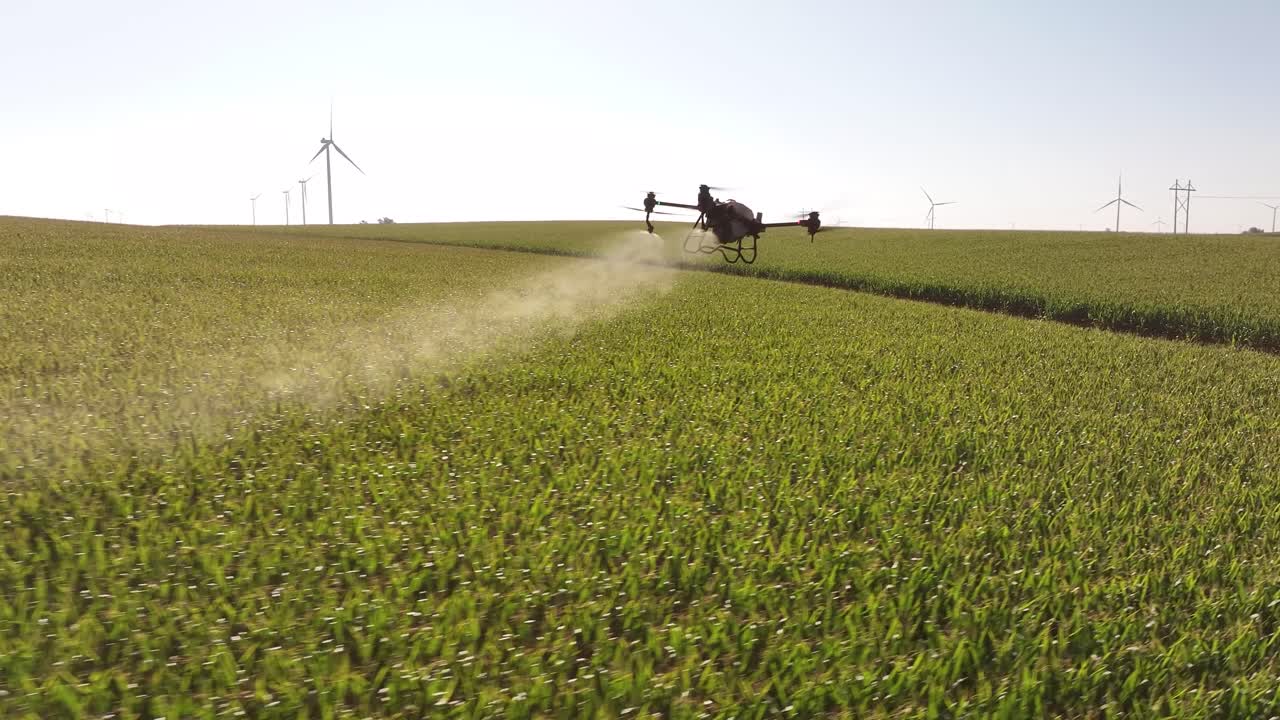 Drone agricolo che irrora sostanze chimiche su un campo di mais in Iowa in estate