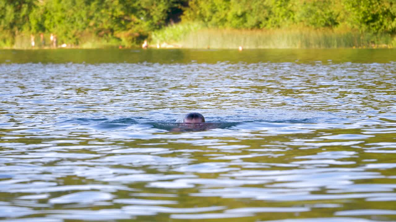 젊은 남자 수영의 카메라 샷을 향해 이동