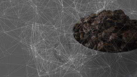 white ceramic bowl holding dark roasted coffee beans sitting beside minimalist mesh network overlay