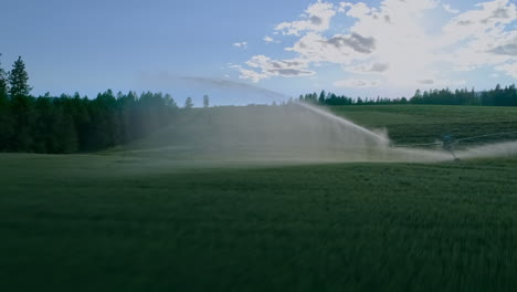 Irrigation-sprinkler-spraying-water-on-farm-field-4k