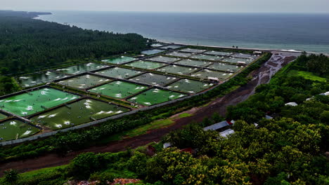 an aerial parallax shot of a vast aquaculture farm with numerous ponds, nestled between a lush forest and the ocean in indonesia