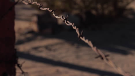 Stacheldraht-In-Der-Wüste-Joshua-Tree