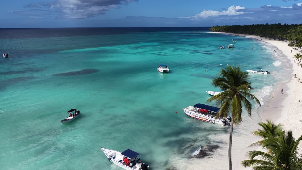 Isla Saona à Punta Cana, La Altagracia, République Dominicaine. Horizon caribéen. Paysage de plage. Cocotiers indigènes. Isla Saona à Punta Cana, République Dominicaine. Paysage marin naturel