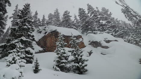 berthoud pass colorado backcountry pillows super slow motion snowing snowy spring winter wonderland blizzard white out deep snow powder on pine tree national forest loveland rocky mountain pan left