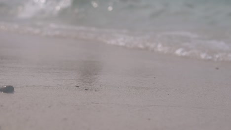 transparent ocean water rolls calmly on beach and forms wave