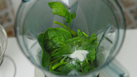 close up of chef add salt to fresh spinach blades in mixer in slow motion - healthy topping for meal