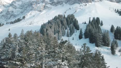 montaña suiza saentis en los alpes con nieve fresca y niebla