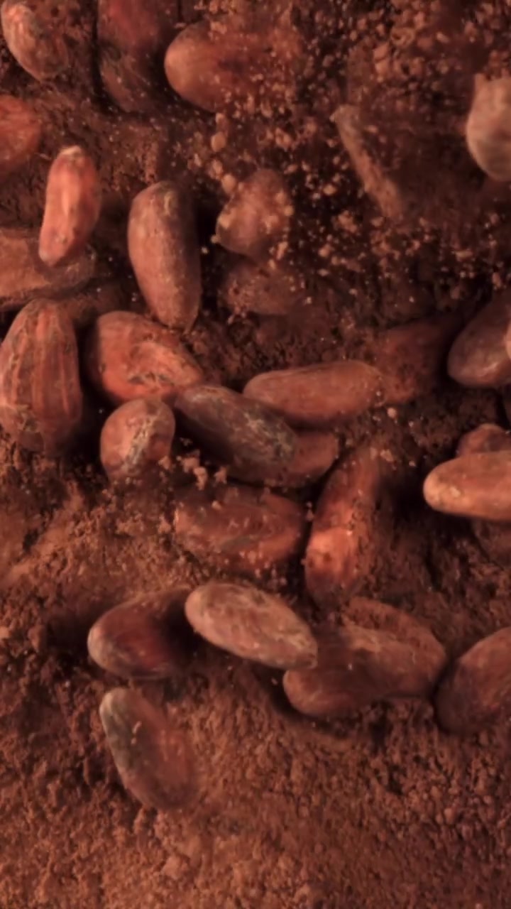Granos de cacao crudos cayendo sobre cacao en polvo a cámara lenta