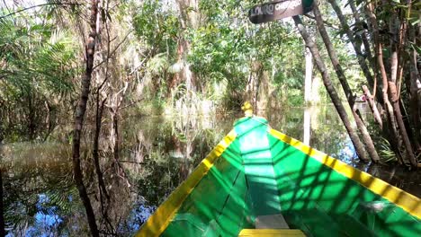 a boat sails the tropical amazon river brazil enchanted forest first person view