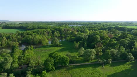 Floodplain-Forest-Landscape-Near-Marchegg,-Border-Austria-Slovakia,-Lower-Austria,-Austria