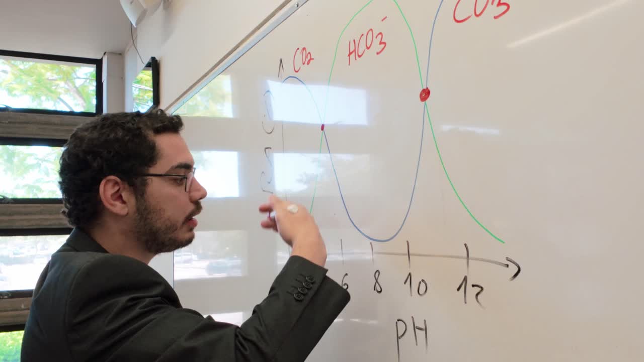 Educator Explaining a Scientific Concept Visually