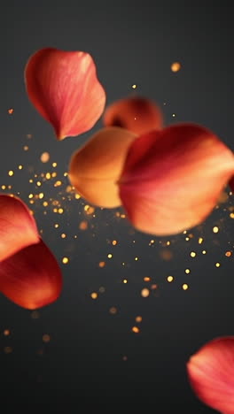 colorful petals float in the air