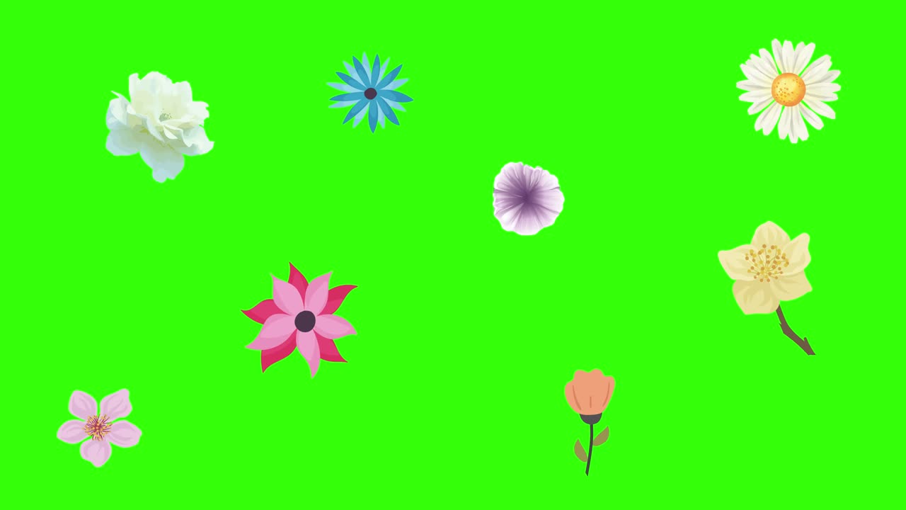 초록색 화면에서 봄 꽃 애니메이션 요소의 그룹 크로마 키