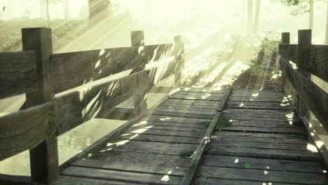 serenity found on a wooden bridge under soft morning sunlight rays