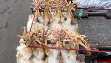 Close-up-shot-of-legs-of-chicken-tied-and-kept-on-bike-for-sell-in-India