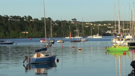 boats in a harbour