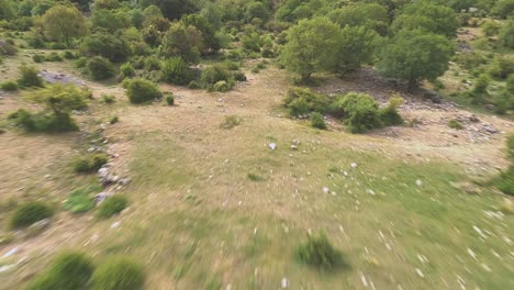 bosques, llanuras y montañas del sur de españa se alejan en esta toma de salida del avión no tripulado