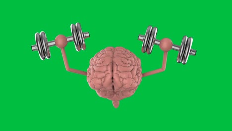 healthy brain on green screen