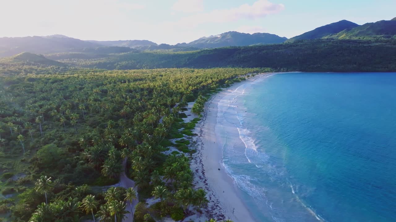 Backward aerial panoramic view of Rincon white sand beach in the Dominican Republic. Lush palm trees, calm waves and crystal-clear waters