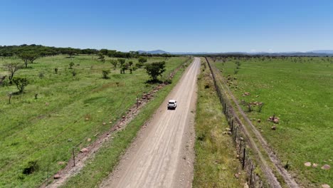 Weißer-Geländewagen-Fährt-Eine-Unbefestigte-Straße-Mit-Akazienbäumen-In-KwaZulu-Natal,-Südafrika,-Entlang,-Luftdrohne