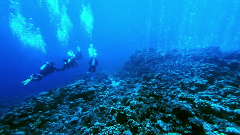 scuba divers exploring a vibrant coral reef