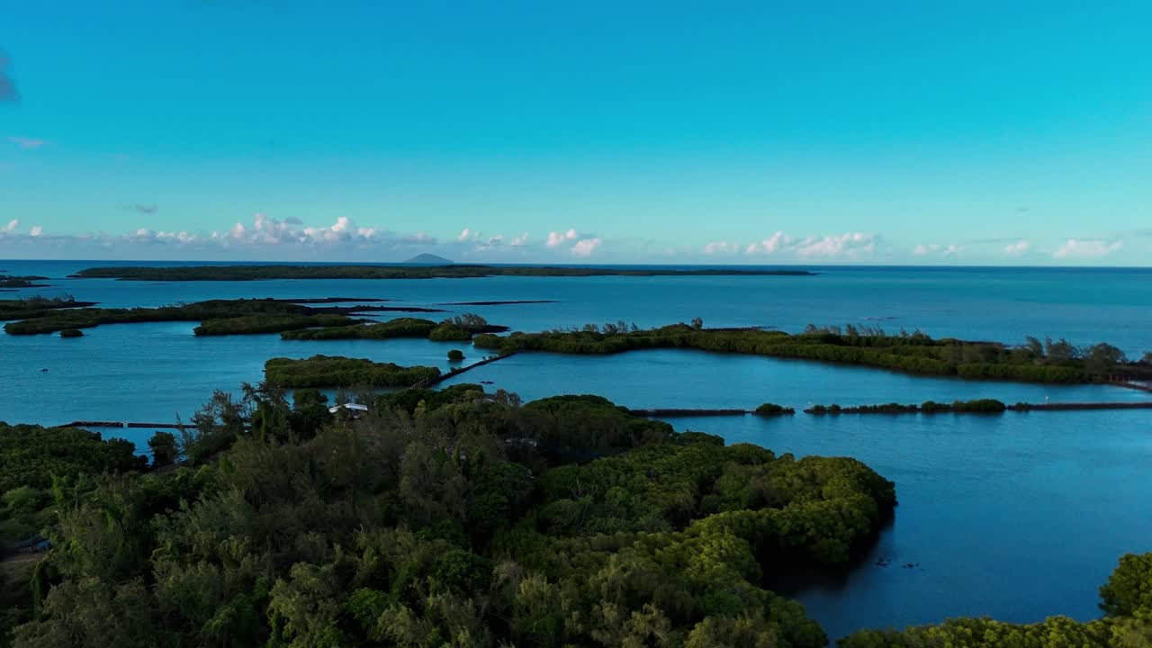 Aerial dolly of fish park in Mauritius surrounded by lush mangrove trees and blue lagoon water