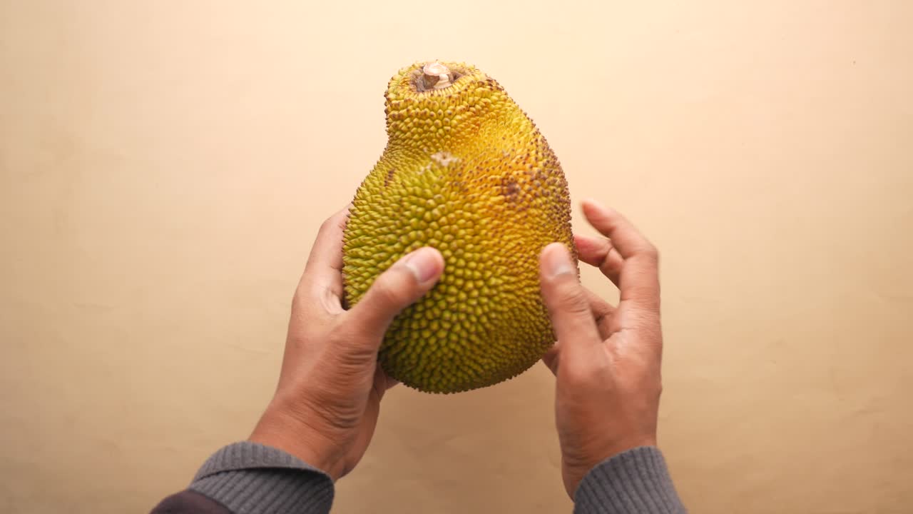 closeup de manos sosteniendo un jackfruit maduro